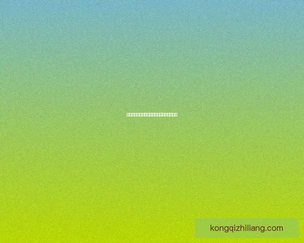 迷雾之风详细地图解析与探索指南全景式解读